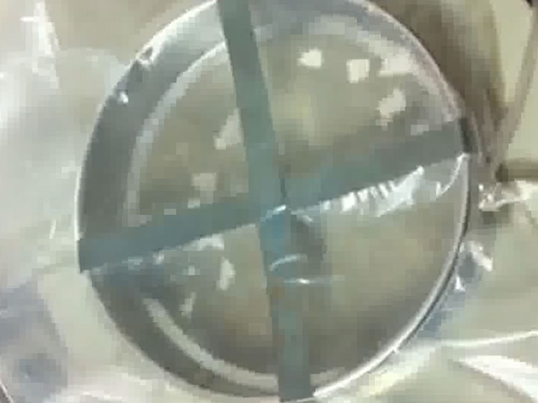 测试信息